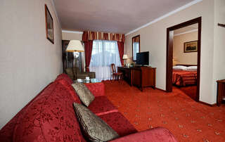 Отель Hotel Żubrówka Spa & Wellness Беловеж Двухместный люкс бизнес-класса с 1 кроватью (для 2 взрослых)-2